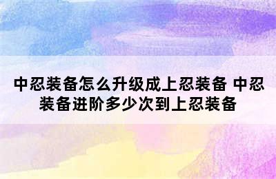 中忍装备怎么升级成上忍装备 中忍装备进阶多少次到上忍装备